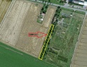 Prodej zahrady 1290 m2 Prostějov, Určická ul.
