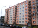 Flat 1+1, 750 m2, Prostějov, Bohumíra Šmerala