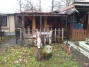 Садовый участок, 500 м2, Karviná, Havířov