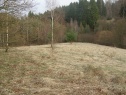 Wiese, 11085 m2, Benešov, Sázava