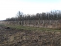 Vinice Hlohovec,okres Břeclav