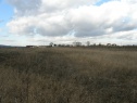 Feld, 5169 m2, Břeclav, Hlohovec