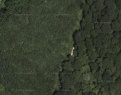 Les , Jarošov, okr. Uherské Hradiště