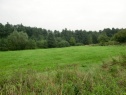 Stavební parcela 4.022 m2, Dětmarovice