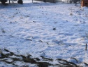 Pozemek, Bohuslavice, Opava