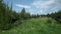 Pozemek 2800 m2, Prostřední Bludovice