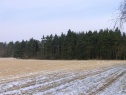 Wald, 2272 m2, Pardubice, Jankovice