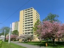 Flat 1+0 for rent, 22 m2, Most, Litvínov, Mostecká