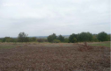 Garten, 2715 m2, Kolín, Dobřichov