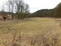 Wiese, 20035 m2, Mladá Boleslav, Bělá pod Bezdězem