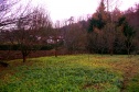 Garden, 1144 m2, Zlín