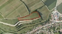 Виноградник+винный погреб, 11585 м2, Břeclav, Milovice