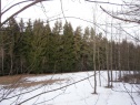 Pozemek - les, Líšný