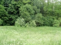Prodej zahrady CP 1.205m2, Vráž u Berouna, okres Beroun