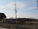 Baugelände, 866 m2, Rychnov nad Kněžnou, Častolovice