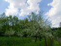 Garten, 503 m2, Ústí nad Orlicí, Česká Třebová