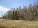 Woodland, 6200 m2, Jičín, Kacákova Lhota