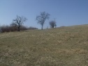 Строительный участок, 1021 м2, Zlín, Březůvky