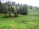 Stavební pozemek 227m2 Heřmanovice