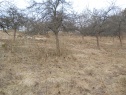 Orchard, 1737 m2, Frýdek-Místek, Bílá