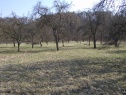 Zahrada, Nové Dvory , Lipník nad Bečvou