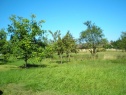 Stavební parcela, 3620 m2, Suchdol nad Lužnicí