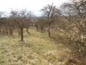 Garten, 2267 m2, Nymburk, Sadská