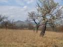 Садовый участок, 1810 м2, Litoměřice, Libochovice