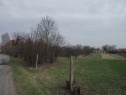 Wiese, 6100 m2, Nymburk, Hrubý Jeseník