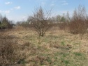 Betriebsfläche zum vermieten , 10266 m2, Mělník, Kostelec nad Labem