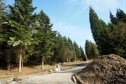Stavební parcela 2 248 m2, Nový Bor, Arnultovice