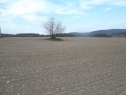 Building lot, 2536 m2, Olomouc, Mrsklesy