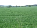 Feld, 3656 m2, Havlíčkův Brod, Habry