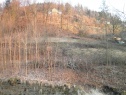 Prodej pozemků pro bydlení, 3 482 m², Kateřinky