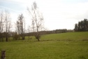 Meadow, 77597 m2, Karlovy Vary, Nová Role