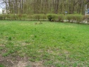 Garten zum vermieten , 538 m2, Ostrava-město, Ostrava