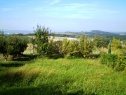 Zahrada Starý Jičín, Nový Jičín