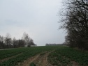 Feld, 5554 m2, Benešov, Vlašim