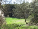 Wiese, 11700 m2, Benešov, Pyšely