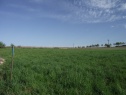 Baugelände, 3348 m2, Mladá Boleslav, Loukov