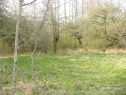 Garten, 1338 m2, Chrudim, Heřmanův Městec