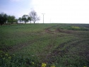 Поле, 1710 м2, Rychnov nad Kněžnou, Trnov
