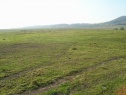 Pozemky 122000 m2, Dobranov u České Lípy