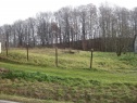 Baugelände, 1168 m2, Karviná, Petrovice u Karviné
