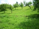 Garten, 3026 m2, Ústí nad Orlicí, Rybník
