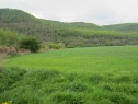 Feld, 174001 m2, Praha-západ, Černošice