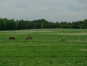 Feld, 54671 m2, Mladá Boleslav, Chocnějovice