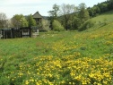 Строительный участок, 2000 м2, Bruntál, Holčovice