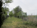 Садовый участок, 1199 м2, Kroměříž, Hulín