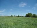 Baugelände, 2842 m2, Karviná, Dětmarovice